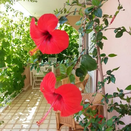 Apartment Irena *